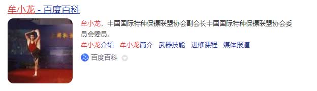 中國(guó)保鏢圖片