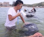 保鏢和保安有什么區別？